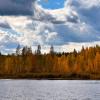 Прогулка вдоль озера :: Oleg S