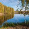 Пейзаж :: Алексей Мезенцев