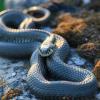 В лучах заходящего солнца :: Дарья Меркулова