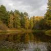 Природа :: Андрей Дурапов
