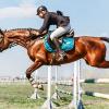 Конкур :: SanSan San