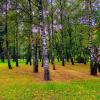 Осень в Коломенском :: АЛЕКСАНДР 