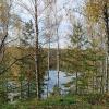 Палитра осени :: Любовь Сахарова
