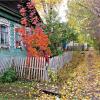 Пейзаж :: Leonid Rutov