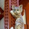 Котёнок :: Сергей Карачин