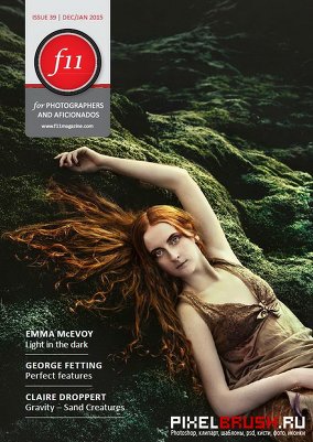f11 Issue 39 (December 2014)