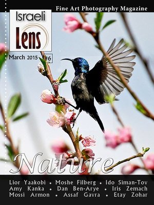 Israeli Lens Magazine №6 (March 2015)