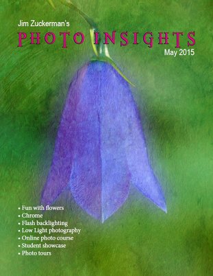 Photo Insights (May 2015)