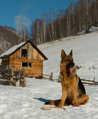 Баня
