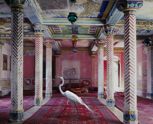 Karen Knorr