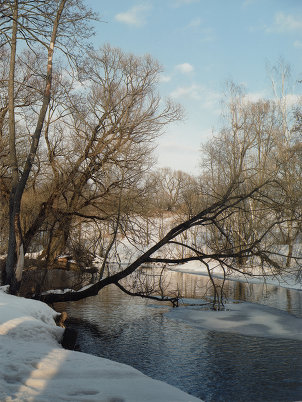 "Блеск и нищета" фотографии