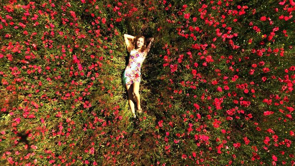 Аэросъемка - что это?