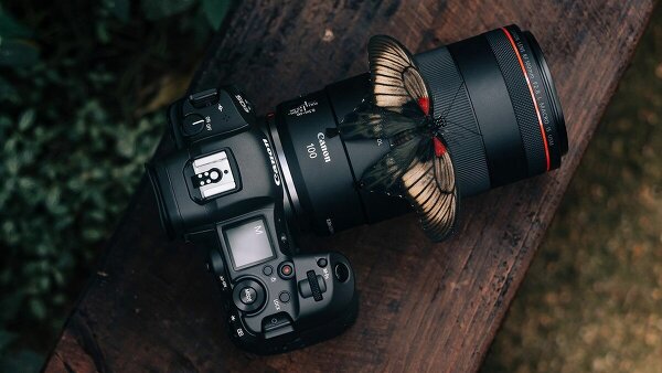 Canon RF 100mm F2.8L – макрообъектив мечты (Невероятная фотогалерея!)