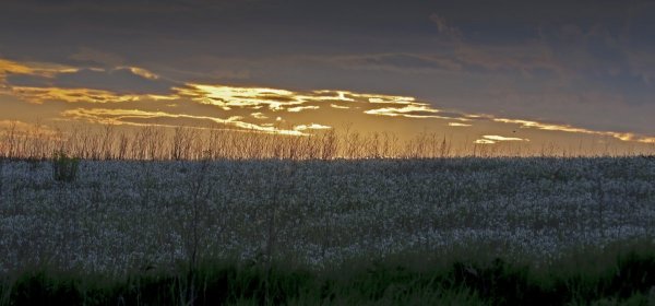 Между днём и ночью...