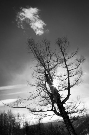 IMG_1626-2