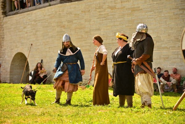 9 - позвала Внучка Жучку