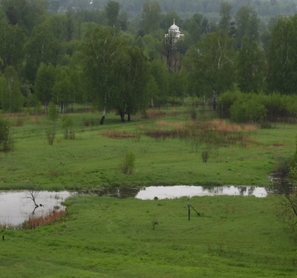 лужи и скит