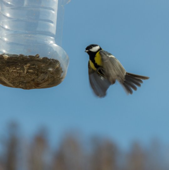 IMG_8240 IMG_8240