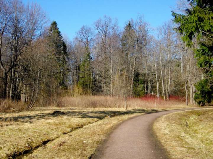 Краски весны.