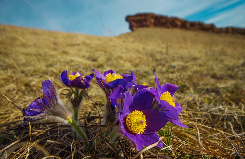 Сходили на Сундуки успешно! - №11