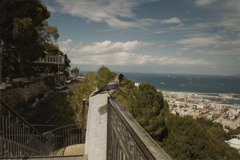 Израиль * Хайфа * 2025г