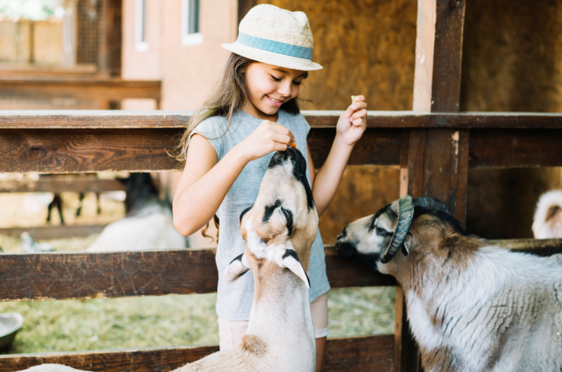 Идеи для летней фотосессии на природе или в городе в 2025 - №43