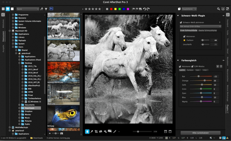 15 лучших аналогов Lightroom: замена Adobe в 2025 - №10