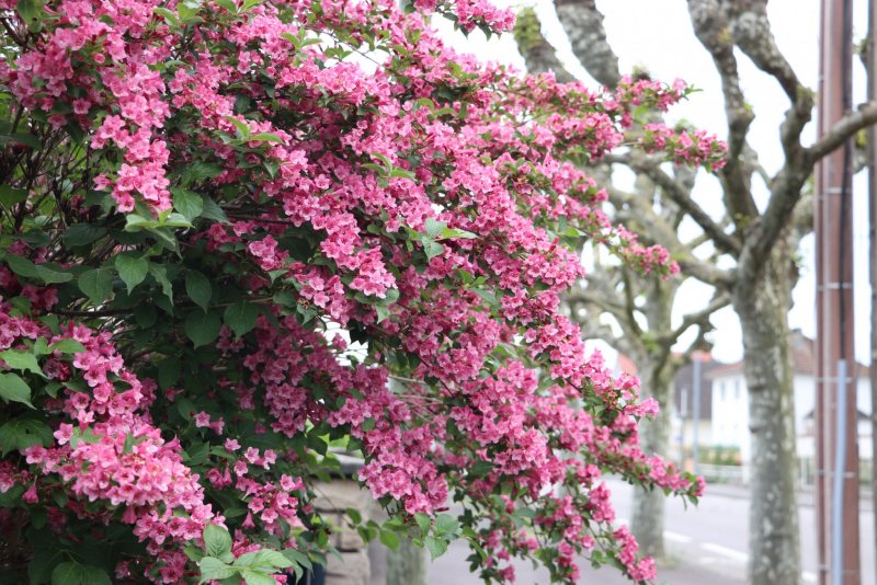 20240504184105_IMG_0501