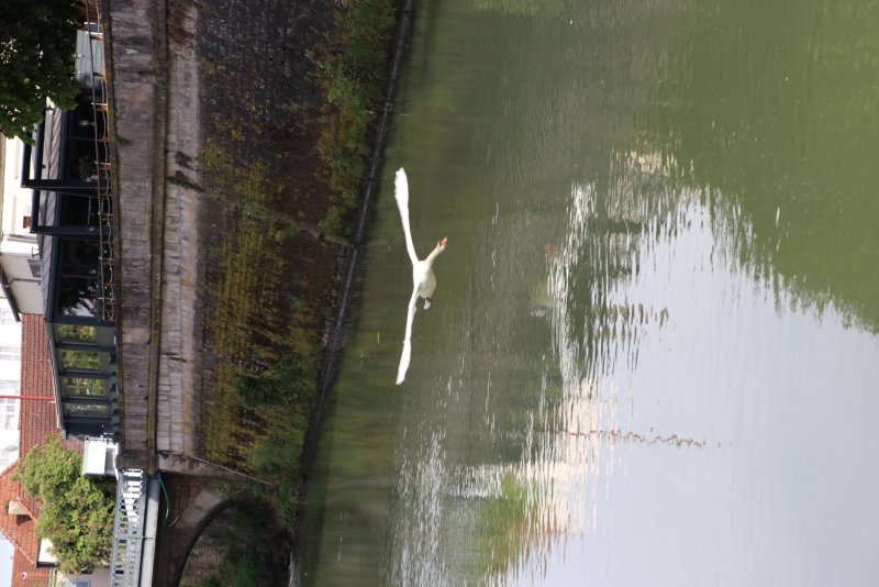 20240501191537_IMG_0446