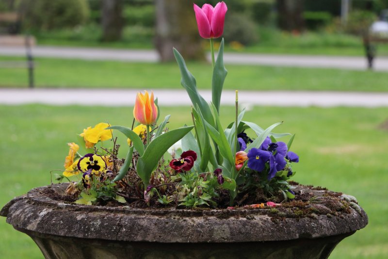 20240407180352_IMG_0160