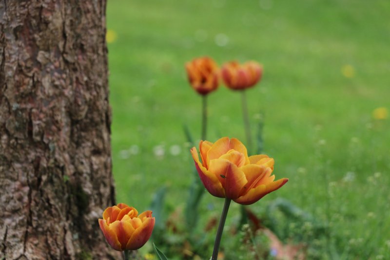 20240407174811_IMG_0159