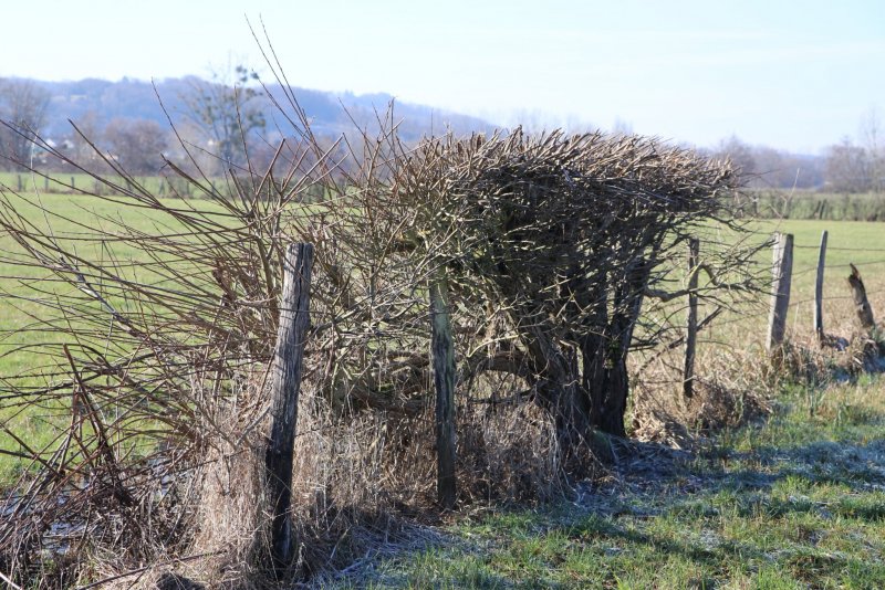 20240120153540_IMG_8790