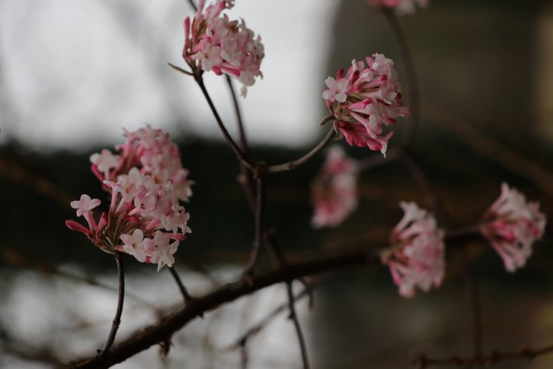 20240208192535_IMG_9000