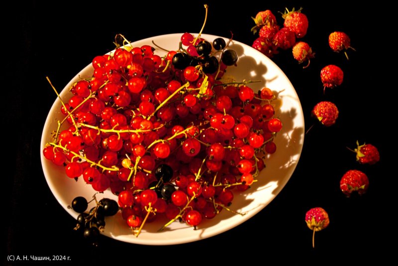 Фото 1 / земляника на черном