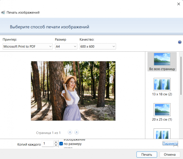 17 лучших программ для печати фото на принтере - №6 17 лучших программ для печати фото на принтере - №6