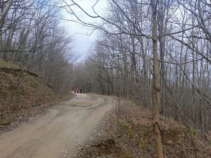 Путешествие на Собер