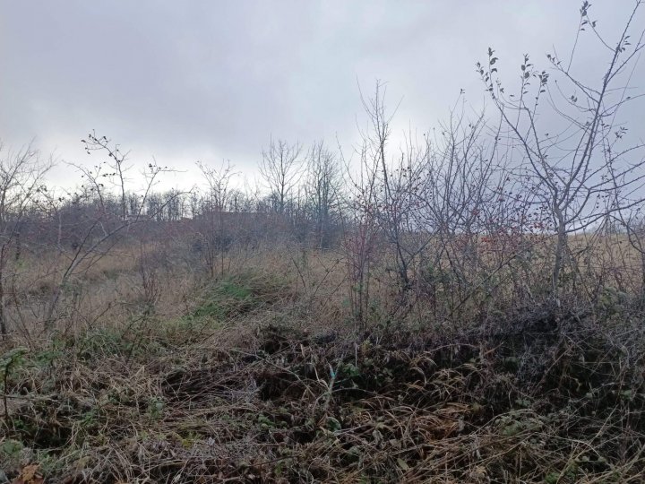 Путешествие на Собер