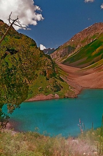 100811000009200027сС