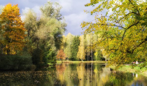 Смульский Антон