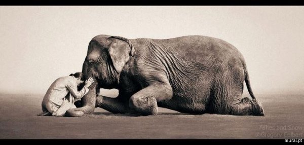 fotografia_design_025