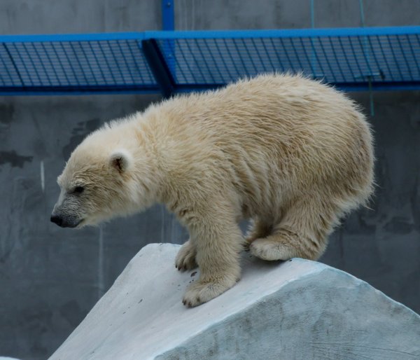 Покритикуйте фото - №4