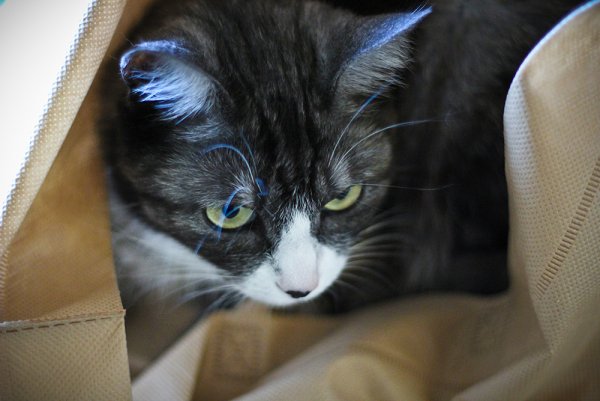 Приключение Джеки - №6 Приключение Джеки - №6