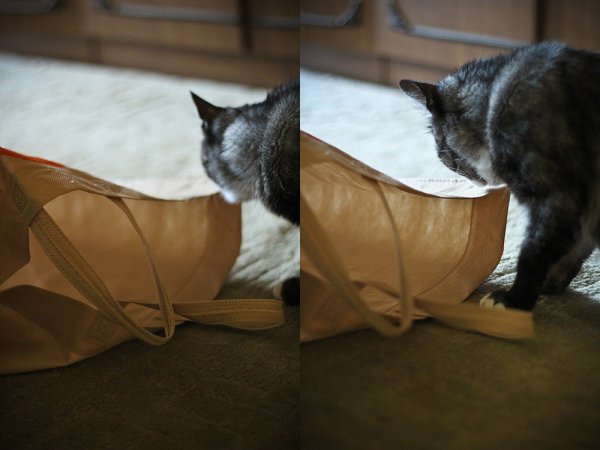 Приключение Джеки - №3 Приключение Джеки - №3