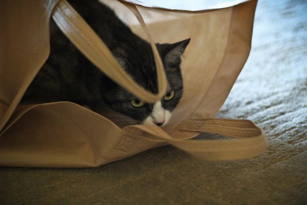 Приключение Джеки - №9 Приключение Джеки - №9