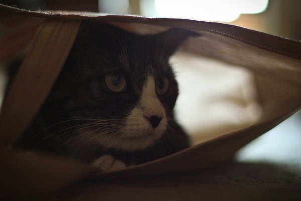 Приключение Джеки - №17 Приключение Джеки - №17