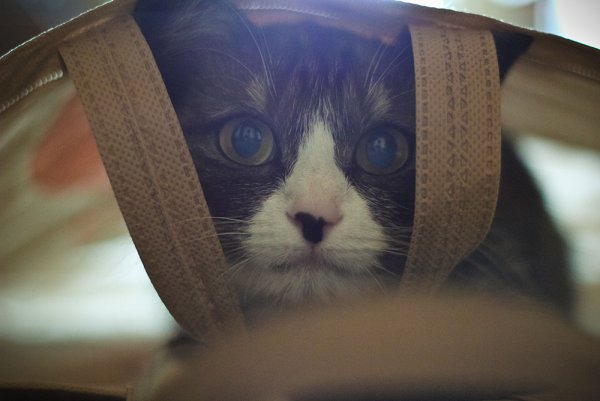 Приключение Джеки - №25 Приключение Джеки - №25