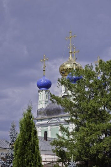 NIC_0287_221